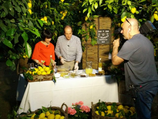 EXPO - Alice TV