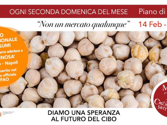 Domenica 14 Febbraio 2016 - Mercato della Terra